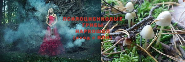 мдпв Абдулино