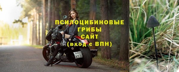 винт Михайлов