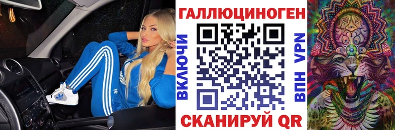 купить наркотики сайты Братск Псилоцибиновые грибы Psilocybe